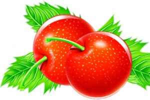 手绘红色山楂果实