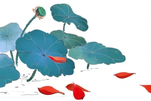 荷花池一个小莲蓬