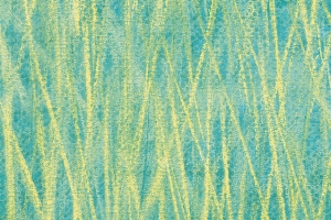 水彩背景