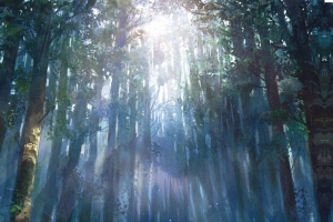 自然森林海报背景
