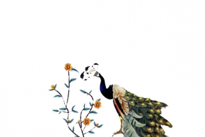孔雀印花