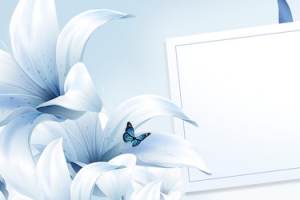 banner  活动背景