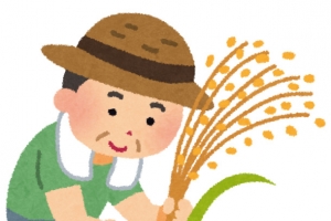 农民伯伯在田间用镰刀割稻谷