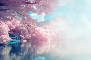 淘宝女装banner