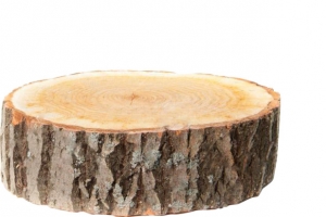 高清PNG透明图片设计素材，木墩动植物元素免费下载