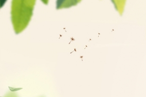 清新淡雅温馨冬季banner