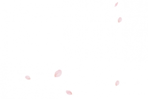 花瓣漂浮物
