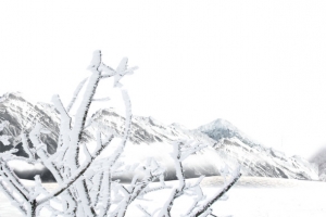 雪地上雪山