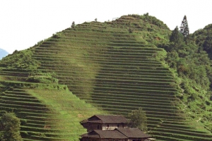 梯田