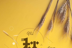 创意极简小清新中国传统二十四节气秋分