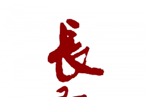 长征书法艺术字