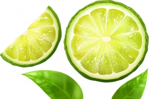 青色柠檬片高清PNG透明装饰素材 生活用品设计免费下载