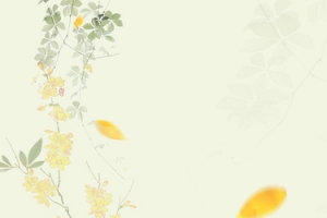 桂花文艺深秋电商Banner