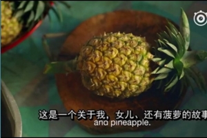 泰国感人广告-女儿和菠萝的故事