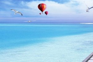  banner 海报图