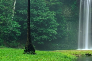 【3440x1440】米拉米拉瀑布Millaa Millaa Falls带鱼屏壁纸