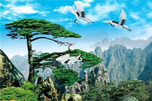 淘宝海报背景