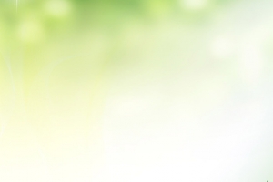 夏日小清新唯美雏菊banner