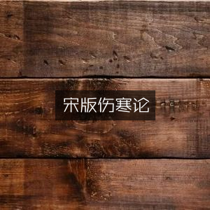 宋版《伤寒论》古典文集