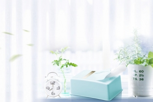 窗口盆栽植物生活家居