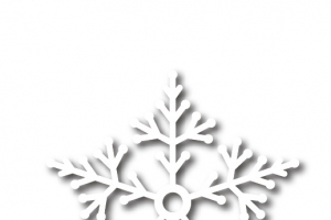 雪花
