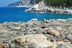 海景背景