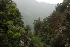 江西井冈山风景三