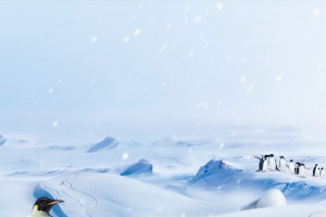 梦幻雪景背景图