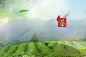 淘宝绿茶茶叶主图直通车