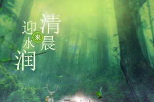 清晨绿色森林自然护肤品主图