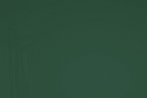 暑期班banner背景