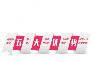 五大优势