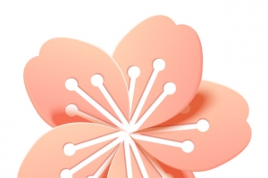 花卉元素樱花免扣