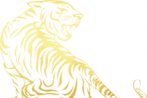 中国风  虎年  老虎  虎剪影