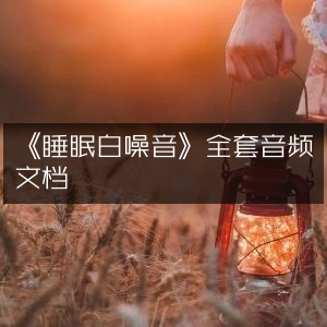 《全套睡眠白噪音音频+文档》