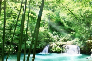 林中瀑布美景