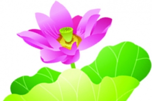 手绘莲花效果绿配红效果
