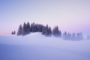 瑞士冬季 雪 树美丽冬天风景4k壁纸3840x2160