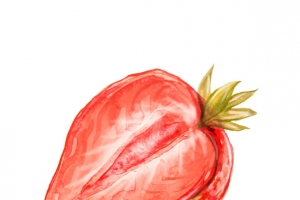 手绘水彩草莓免抠素材