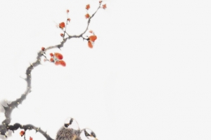 桃花山鸟中国风