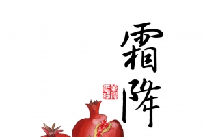 中国风霜降石榴插画