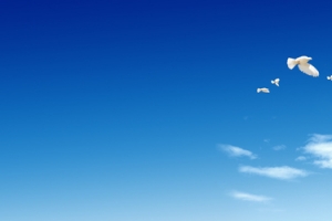天空素材背景banner