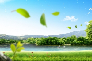 森林湖