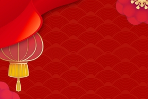 红色虎年中国风新年春节背景