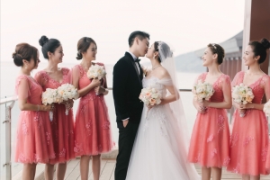 陈晓陈妍希婚礼伴娘团陈乔恩高清图片