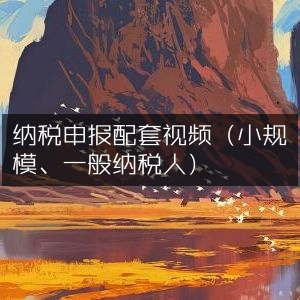 纳税申报实操视频（适用于小规模纳税人与一般纳税人）