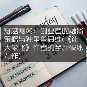 穿越寒冬，创业者融资宝典与独角兽思维解析——《让大象飞》作者最新力作，赋能个人成长