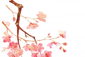 中国风粉色花枝花瓣