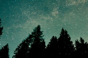 森林星空夜间3440x1440风景壁纸