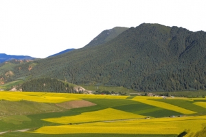 卓尔山风景